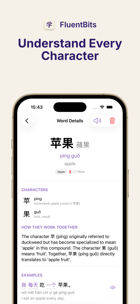 FluentBits character decomposition screen showing radicals and stroke count.